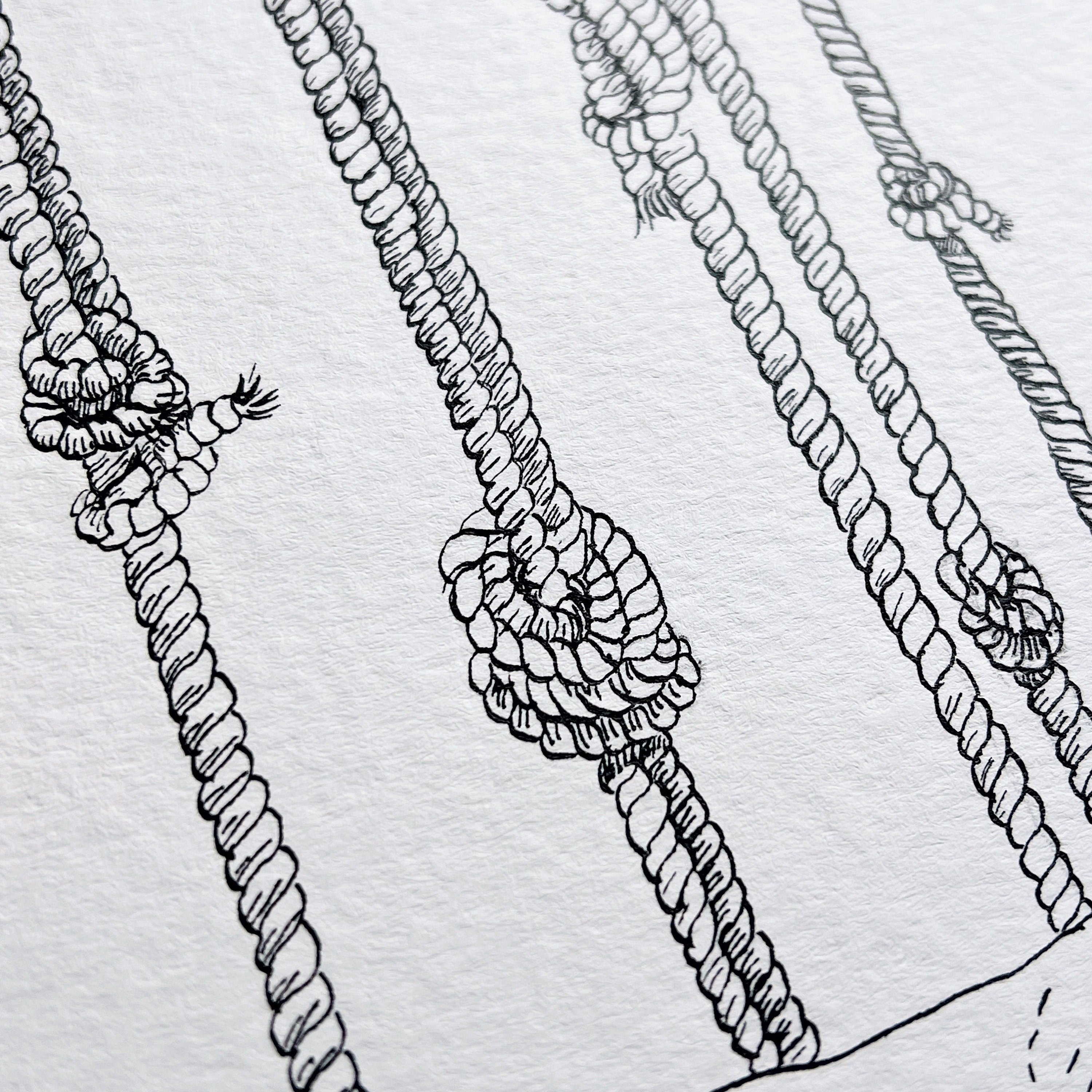 Knotted (Original Ink and Watercolor)