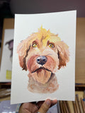 The "Boop-able" Portrait: Custom Hand-Painted Fluffy Doodle Dog Art