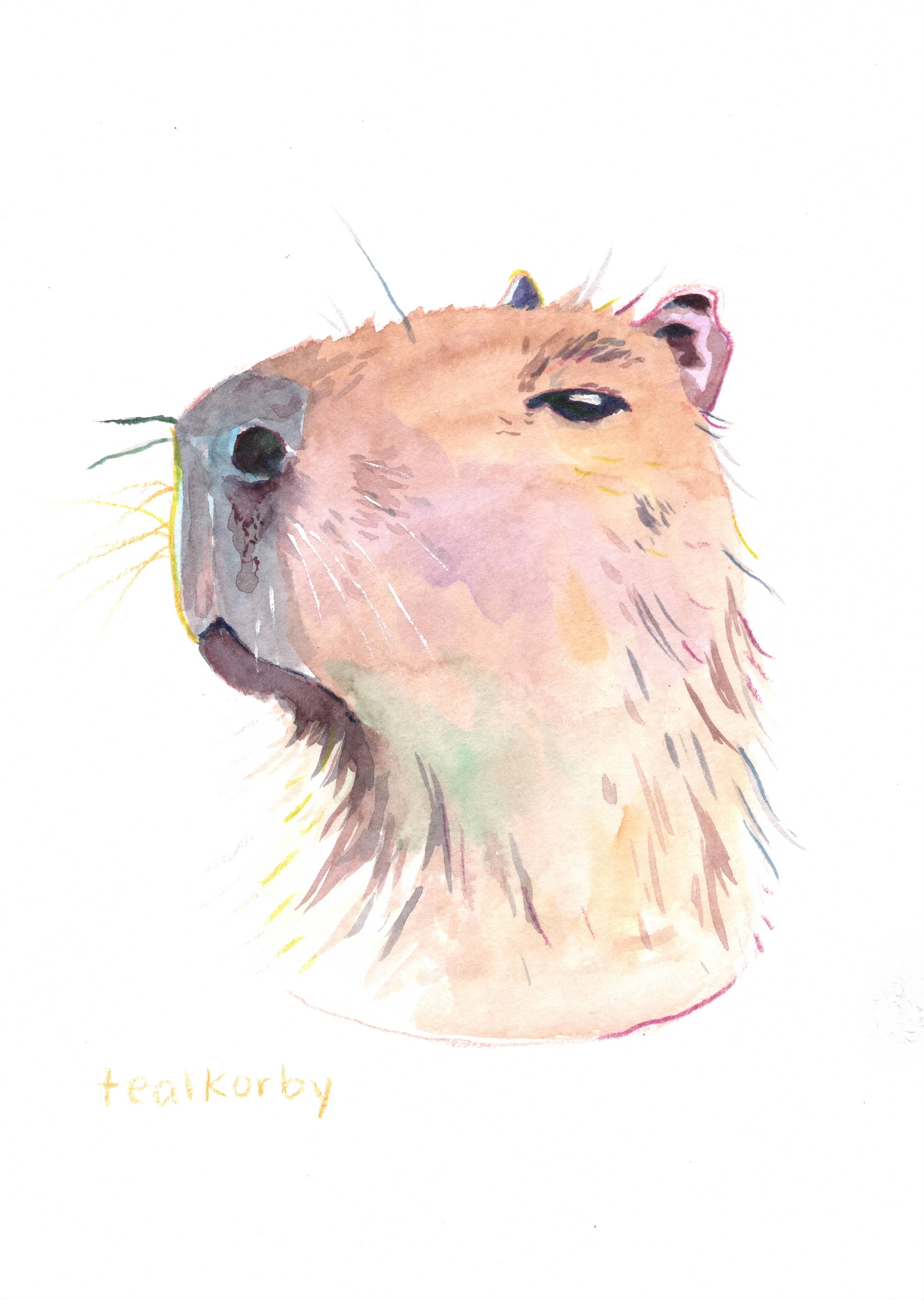 The "Boop-able" Portrait: Custom Hand-Painted Capybara