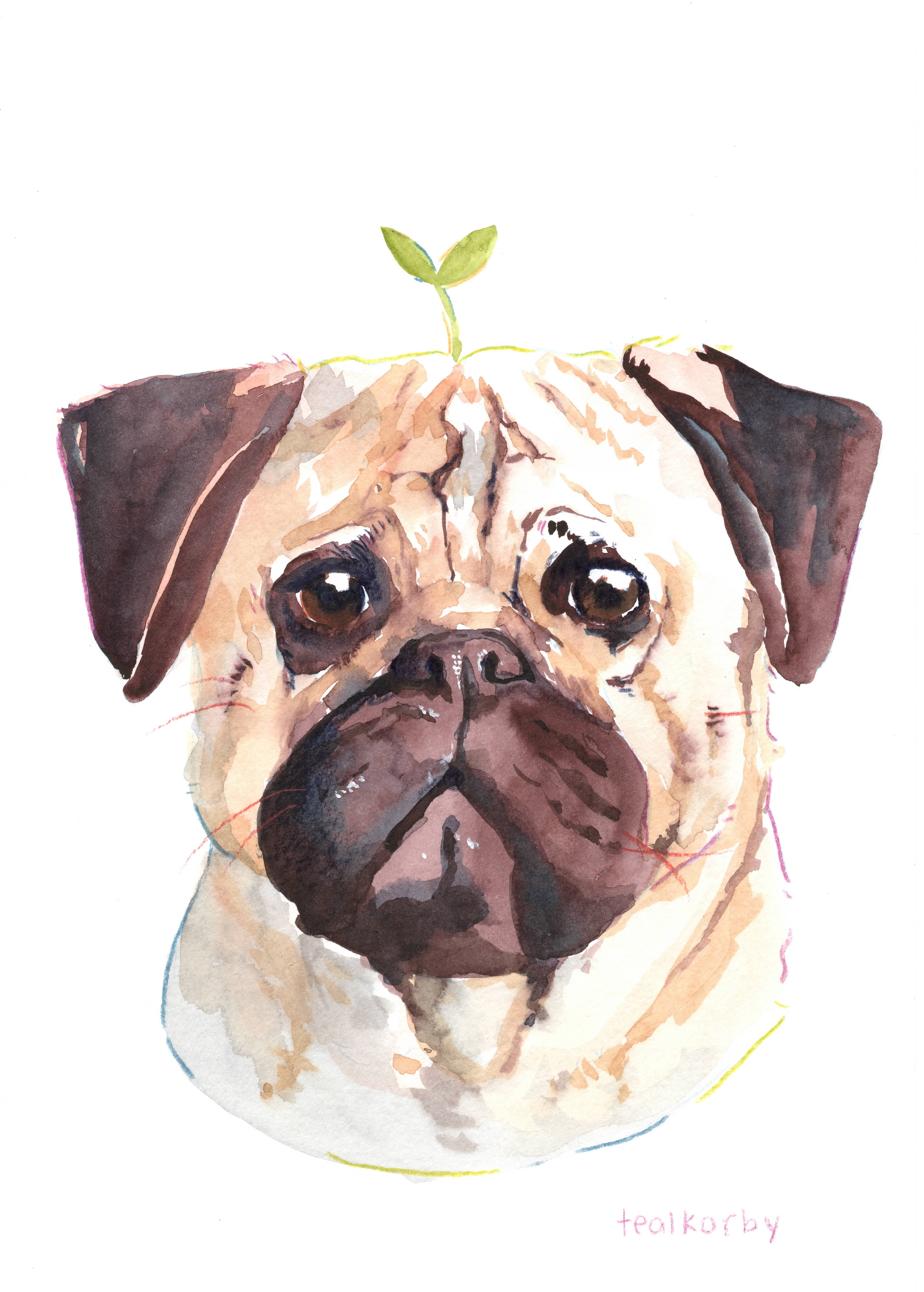 The "Boop-able" Portrait: Custom Hand-Painted Pug Art