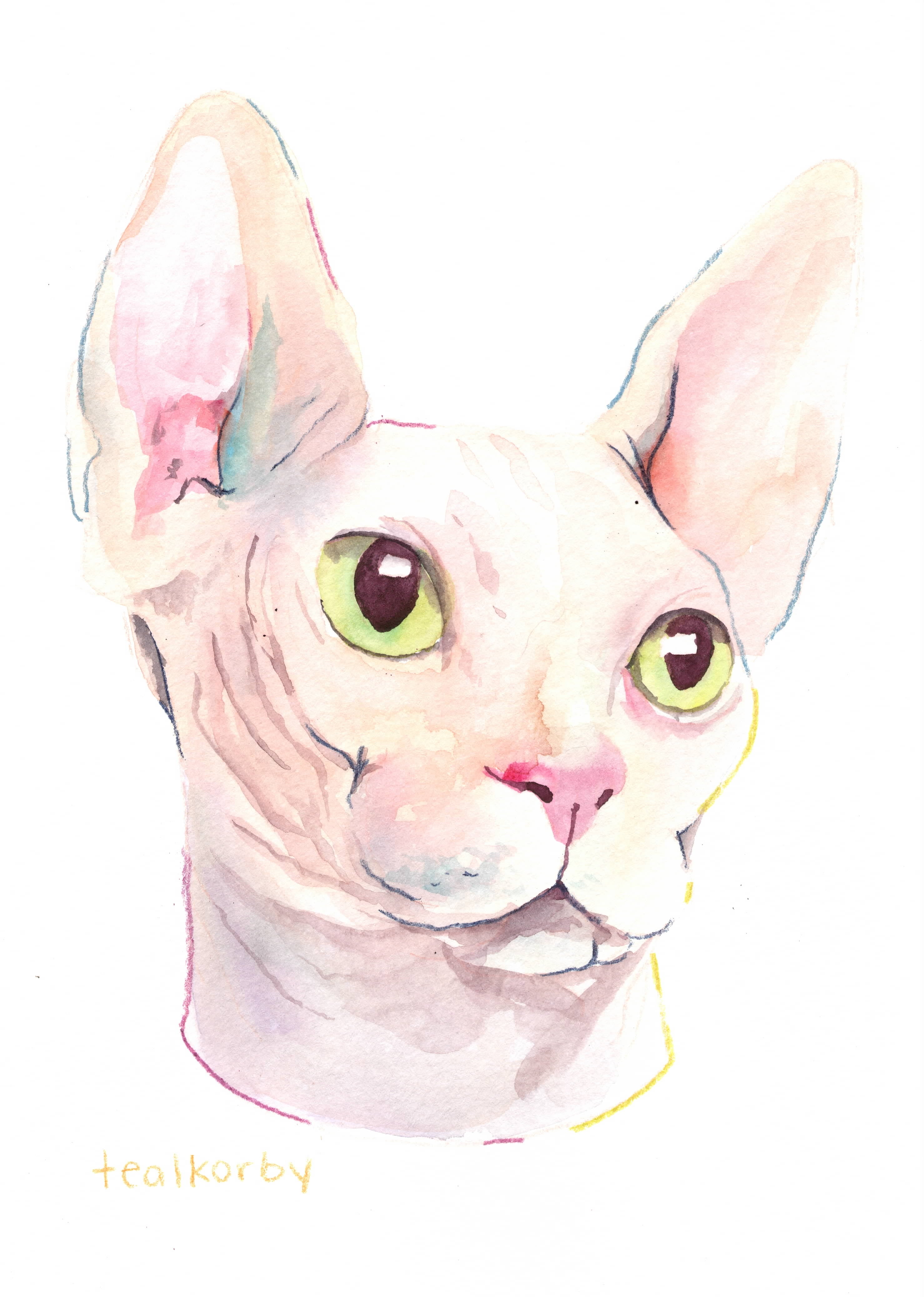 The "Boop-able" Portrait: Custom Hand-Painted Hairless Cat