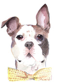 The "Boop-able" Portrait: Custom Hand-Painted Dapper Dog Art