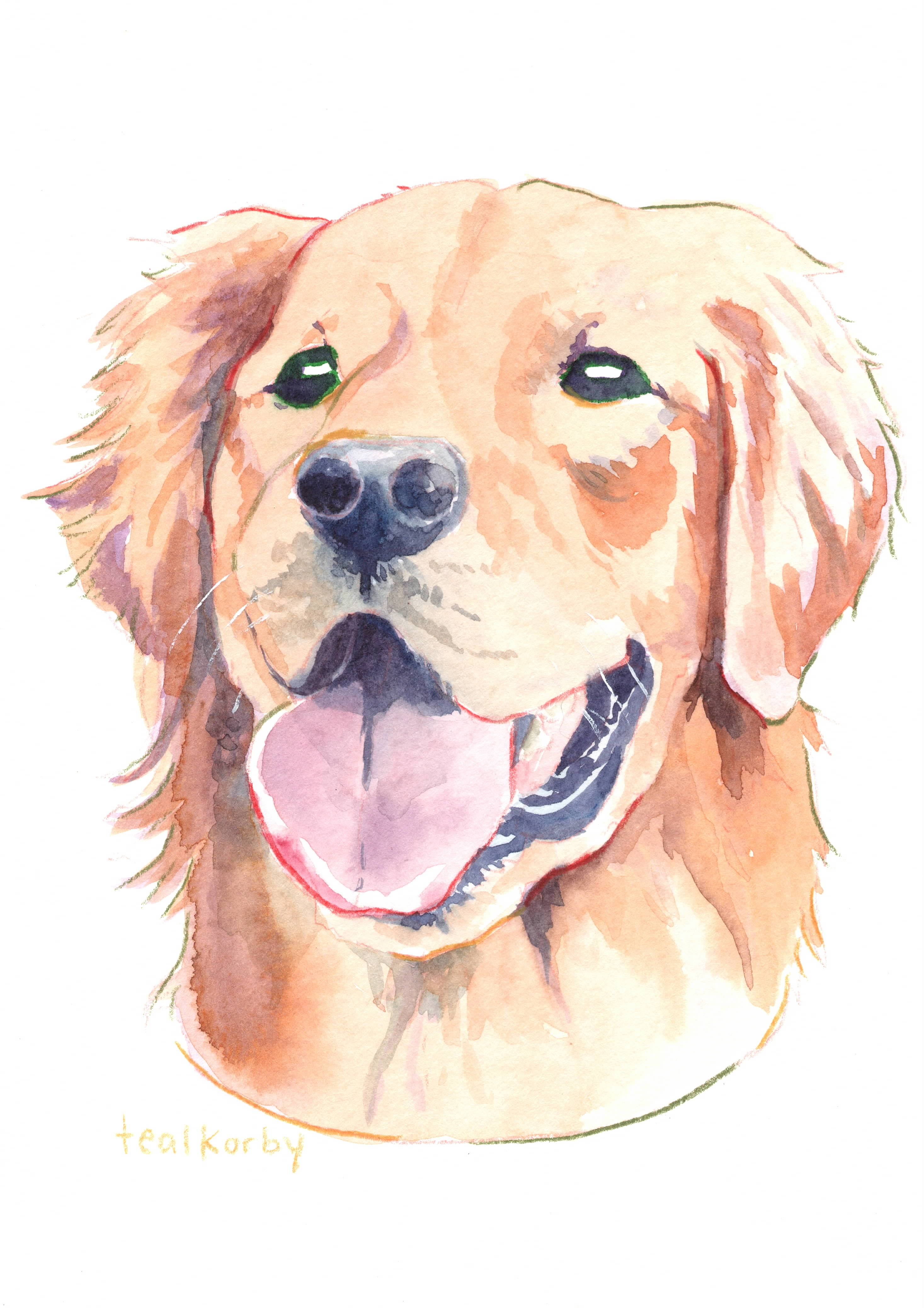 The "Boop-able" Portrait: Custom Hand-Painted Golden Retriever