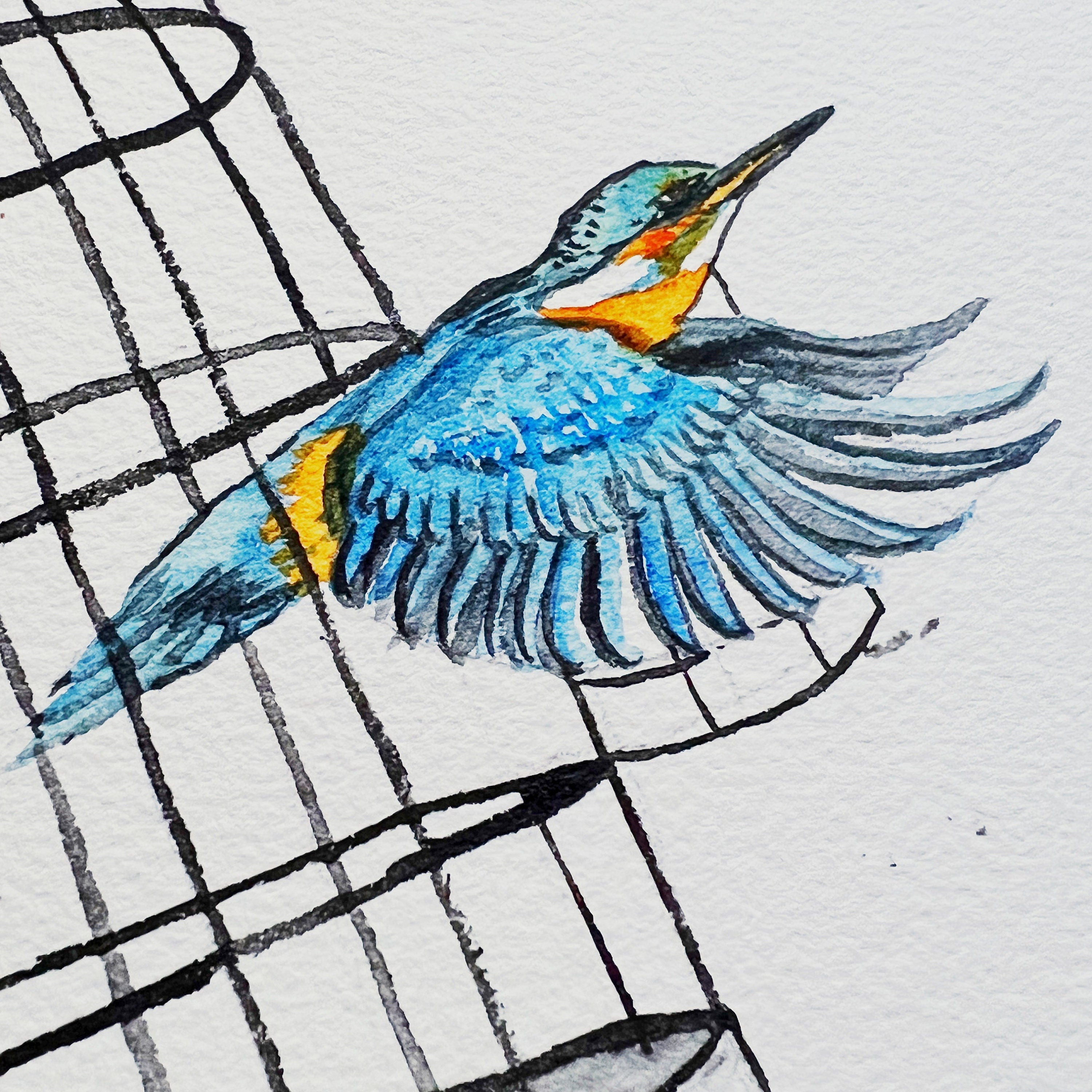 Kingfisher (Original Ink and Watercolor)